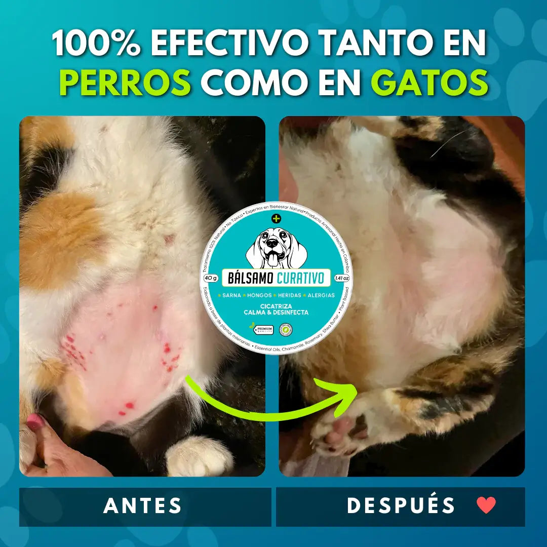 DermaPet | Bálsamo Natural para el Cuidado de la Piel Canina