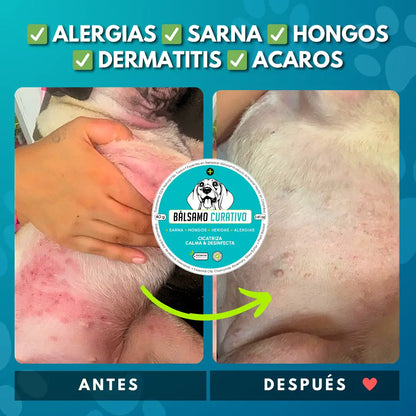 DermaPet | Bálsamo Natural para el Cuidado de la Piel Canina