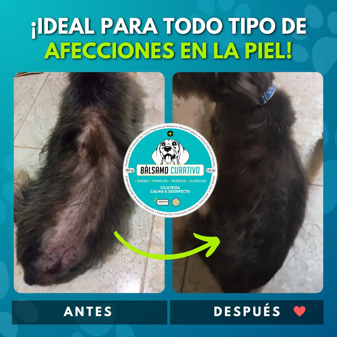 DermaPet | Bálsamo Natural para el Cuidado de la Piel Canina