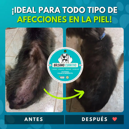 DermaPet | Bálsamo Natural para el Cuidado de la Piel Canina